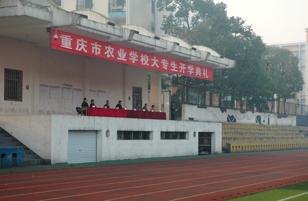 DSC_0705.JPG